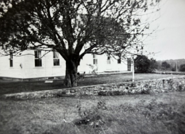 The Thalheimer farmhouse on Orr's Island